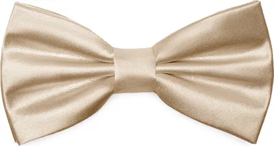 Produktbild von Ladeheid Elegante Herren Fliege -Hochwertig Glänzend Verstellbar BMS (12cmx6cm)