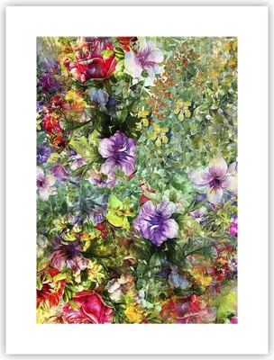 Produktbild von Poster - Poster ohne Rahmen - blume sommer natur - 30x40 cm - Wand Bild - Wanddeko - Wandbilder - Kunstposter - Wandposter - Bilder - Kunstdruck - Wanddekoration - Wandbild - P2XPA30x40-3842