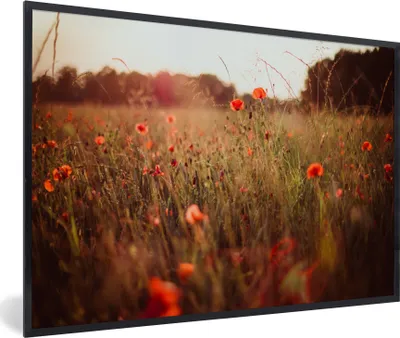 Produktbild von MuchoWow® Gerahmtes Poster Sonnenuntergang - Blumen - Rot 90x60 cm - Poster mit Schwarzem Bilderrahmen Wandposter Rahmen Foto Bilder - Fotorahmen - Foto-Plakat