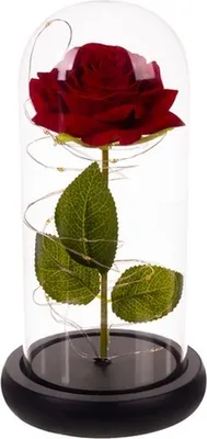 Image de Rose en verre - incandescent Malatec 21619
