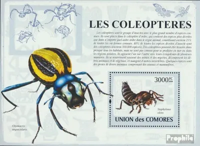 Produktbild von Briefmarken Komoren 2009 Mi Block 471 (kompl. Ausg.) postfrisch Käfer