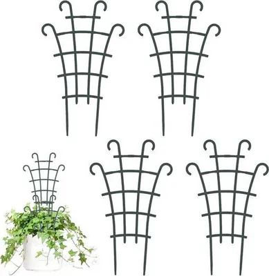 Immagine prodotto di Rosa rampicante per piante da appartamento e rose – Set da 4