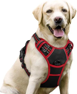 Image de Harnais pour chien Famanu, anti-traction, réglable, respirant, avec bandes réfléchissantes, taille L
