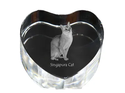 Produktbild von Singapura Katze - Kristalluhr mit Katzenbild, Herzregal-Uhr, personalisierte Standuhr von Art-Dog.