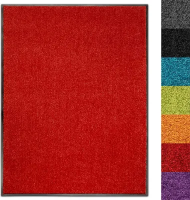 Produktbild von Fußmatte Innen & Außen Use&Wash rutschfest & waschbar Rot 40x60 cm