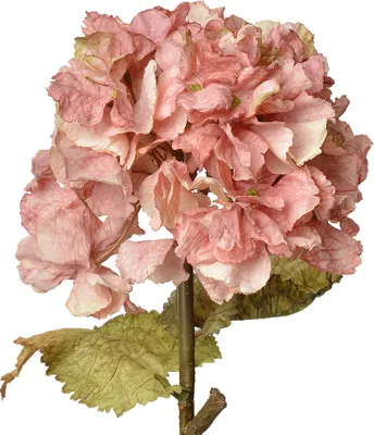 Image de Clayre & Eef Fleur artificielle hortensia 55 cm rose plastique