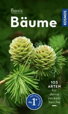 Obrázek produktu pro BASIC Bäume