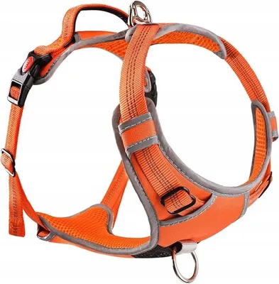 Produktbild von Verstellbares Reflektierendes Taktisches Hundegeschirr Orange