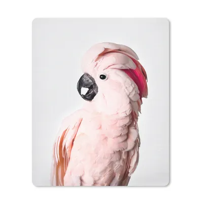 Produktbild von MuchoWow® Mauspad Mousepad Kakadu - Rosa - Tiere - Natur 19x23 cm - Mousepads - Maus Mat - Pad - Mausunterlage - Mauspads - Spielen