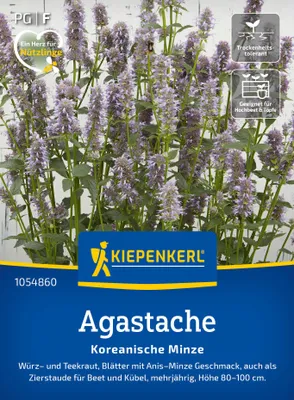 Artikelbild 2 von 'Agastache Koreanische Minze' aus der Kategorie Minzesamen