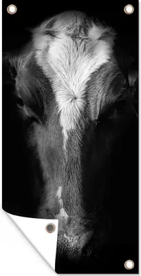 Produktbild von MuchoWow® 30x60 cm Outdoor-Poster Gartendeko Sichtschutz Garten Poster für den Garten  Kuh - Tiere - Schwarz