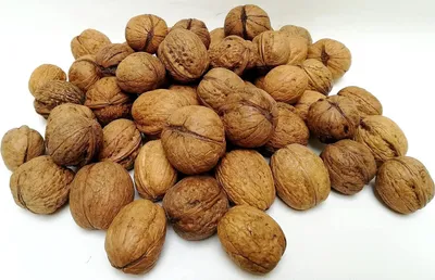Produktbild von IGART Haselnüsse 5kg + Walnüsse 5kg in der Schale MIX Hazelnuts Walnuts Schmackhafte reif Walnüsse Unbehandelt