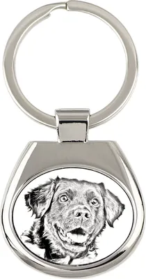 Zdjęcie produktu dla Wyżeł fryzyjski, Stabyhoun - brelok do kluczy z psem, breloczek z nadrukiem, personalizowana przywieszka marki Art-Dog