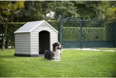 Image de Curver Dog House niche grise pour chien