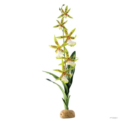Produktbild von Spinnen Orchidee, künstliche naturgetreue Pflanze für Terrarien, ideal für Regenwaldterrarien