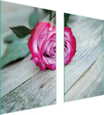 Produktbild von Glasschutzplatte Für Herd 75X52 Rose