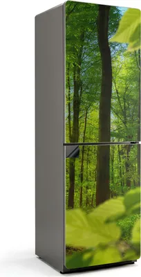 Obrázek produktu pro Zelený les na slunci - Magnetický kryt ledničky - Magnetická dekorativní fólie do kuchyně - Magnetická dekorace na ledničku - Samolepicí magnetická tabule - Magnetická fólie na dveře ledničky - 60x190 cm