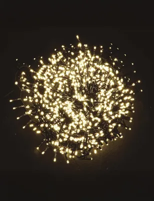 Immagine prodotto di 1000 LED. Bianco caldo multifunzione. Esterno