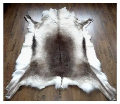 Produktbild von XL Rentier Dekofell Original Skandinavien 120-150 x 100-120 cm mit Siegel Reines Naturprodukt