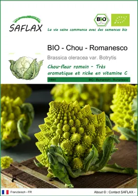 Image de SAFLAX -- Chou - Romanesco - 50 graines - Brassica