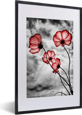 Produktbild von MuchoWow® MuchoWow® Gerahmtes Poster Blumen - Schwarz - Weiß - Rot 40x60 cm - Poster mit zchwarzem Bilderrahmen - Poster in Rahmen