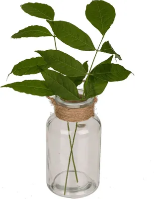 Produktbild von Vase aus Glas mit Jutedeko zum Hängen ca.10cm Tischdeko Hochzeitsdeko Glasgefäß