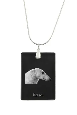 Image de Borzoï - Pendentif en cristal avec chien, collier en argent avec photo, pendentif personnalisé de la marque Art-Dog