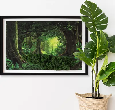 Produktbild von Moosbild mit Echtem Isländisch Moos - 60x40 cm - Schwarzer MDF-Rahmen - Tropischer Dschungel