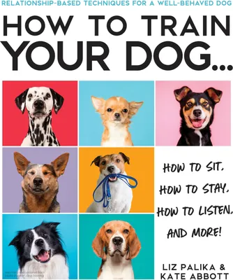 Produktbild von How to Train Your Dog