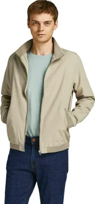 Image de Veste Jack&Jones 077-50832643686739 pour Homme