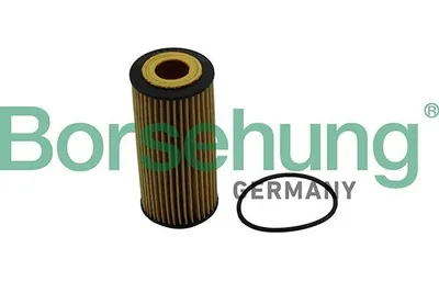 Obrázek produktu pro Olejový filtr Borsehung B10511, vložka filtru pro: AUDI A4 Avant (8K5, B8), Q5 (8RB), A3 Sportback (8VA, 8VF), VW Golf VII Variant (BA5, BV5), TIGUAN (AD1)
