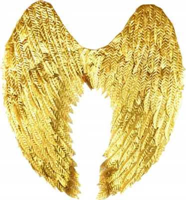 Produktbild von Goldene Flügel 47x53cm Engel Kostüm Goldener Vogel Halloween Karneval Zubehör