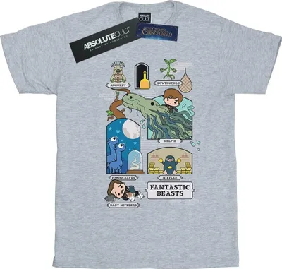 Produktbild von Fantastic Beasts - T-Shirt für Herren BI24725 (M) (Grau)