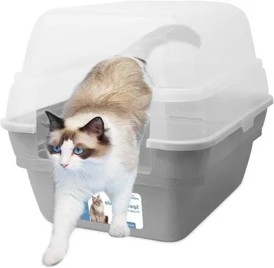 Produktbild von Große faltbare Katzenklo mit Durchsichtslid Grau