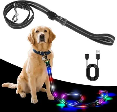 Zdjęcie produktu dla Smycz dla psa z diodami LED, ładowana przez USB, wodoodporna, odblaskowa, 3 tryby, 1,2 m
