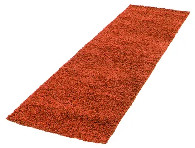 Produktbild von Villa Möbel Lifiva Wohnzimmer-Teppich, Hochflor-Teppich, Shaggy, Einfarbig, Farbe:Terra, Grösse:80x150 cm