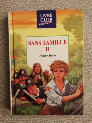 Image de Sans famille 2