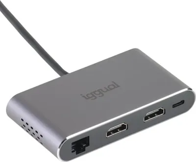 Obrázek produktu pro iggual IGG319222, Kabel, USB 3.2 Gen 1 (3.1 Gen 1) Type-C, 100 W, 10,100 Mbit/s, Šedá, MicroSD (TransFlash), MicroSDHC, MicroSDXC, SD, SDHC, SDXC