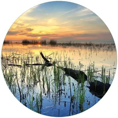 Produktbild von Wallario Premium Glasbild, freischwebende Optik, kräftige Farben, rund 50cm Durchmesser, Motiv Schilf am Abend - Sonnenuntergang über der Seelandschaft