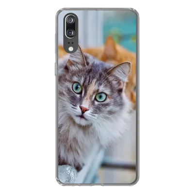 Produktbild von MuchoWow® Handyhülle Schutzhülle Hülle für Huawei P20 Katze - Fenster - Katzen Silikon Softcase Handy Hülle - Hardcover