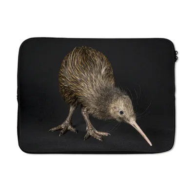 Produktbild von MuchoWow® Laptop Hülle 14 ZollKiwi - Vogel - Schwarz Laptoptasche - Laptoptasche - Stoßsicher - Schutzhaube