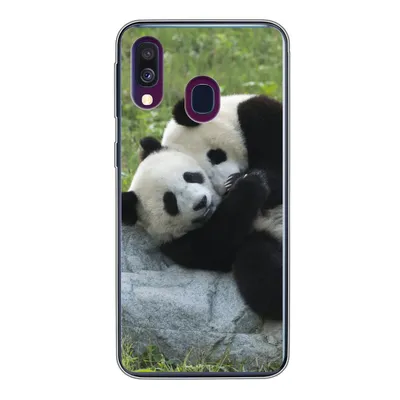 Produktbild von MuchoWow® Handyhülle Schutzhülle Hülle für Samsung Galaxy A40 Pandas - Gras - Stein Silikon Softcase Handy Hülle - Handy-Tasche