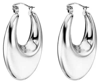 Image de Boucles d'oreilles pour femmes Lotus LS2410-4/1