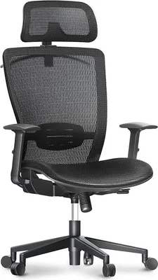 Image de Chaise de bureau ergonomique OC3B-EU, soutien lombaire, noir foncé