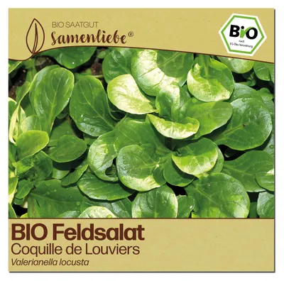 Produktbild von Samenliebe  Feldsalat Samen | Coquille de Louviers - winterhart & nussig - samenfestes  Saatgut