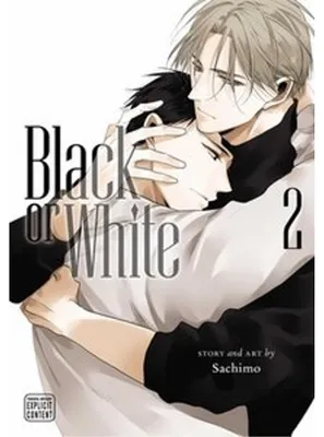 Produktbild von Black or White, Vol. 2