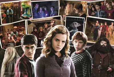Immagine prodotto di TREFL Puzzle Harry Potter e amici 160 pezzi