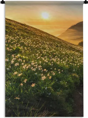 Produktbild von MuchoWow® Wandteppich Wandbehang Blumen - Sonne - Berge 90x135 cm Tapisserie Dekoration Wandtuch - Baumwolle - Wandskulptur