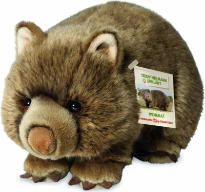 Immagine prodotto di Teddy Hermann Wombat, Kuscheltier, Stofftier, Plüschtier, Wildtier, Sonderedition Teddy-Hermann erklärt, Plüsch, Braun, 26 cm, 91426