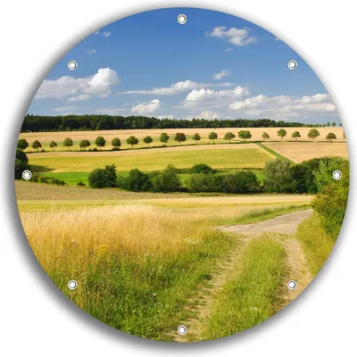 Produktbild von Wallario rundes Outdoor-Poster für Garten oder Balkon, Motiv Feldlandschaft unter blauem Himmel, 30 cm Durchmesser